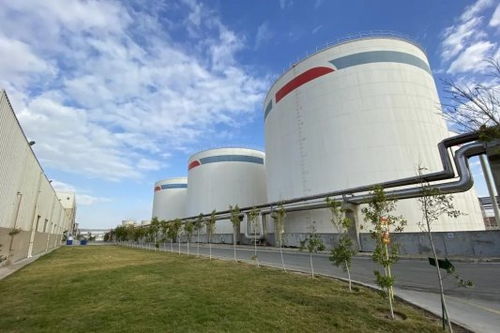 安琪酵母海外工廠 扎根當(dāng)?shù)?，共筑綠色未來(lái)